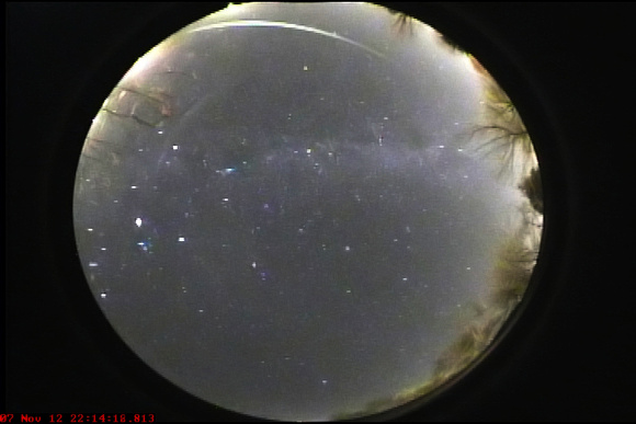 All Sky Camera Bright Meteor
