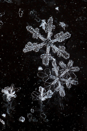 Snowflake Photography Experiment