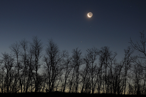 New Year's Crescent