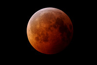 Total Lunar Eclipse (2010)