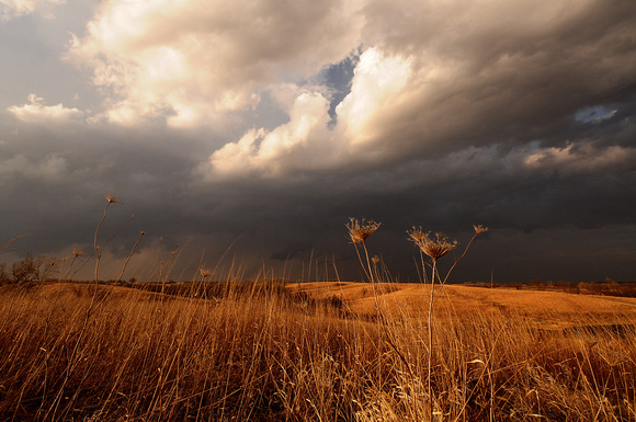 Storms over Prairie Grasses