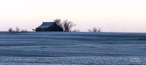 Frosty Landscape