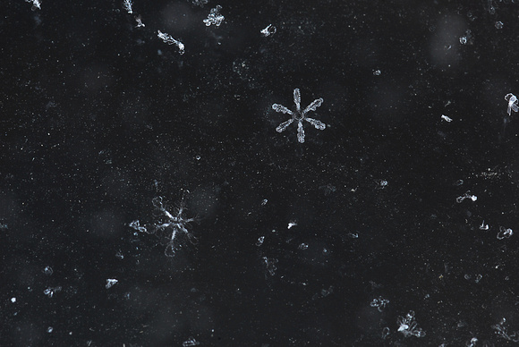 Snowflake Universe