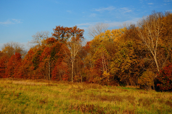 Fall Colors at Elam Bend